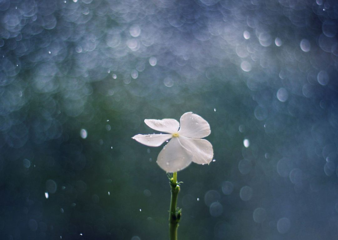 面对反反复复的抑郁情绪该怎么做,抑郁症反反复复发作怎么办