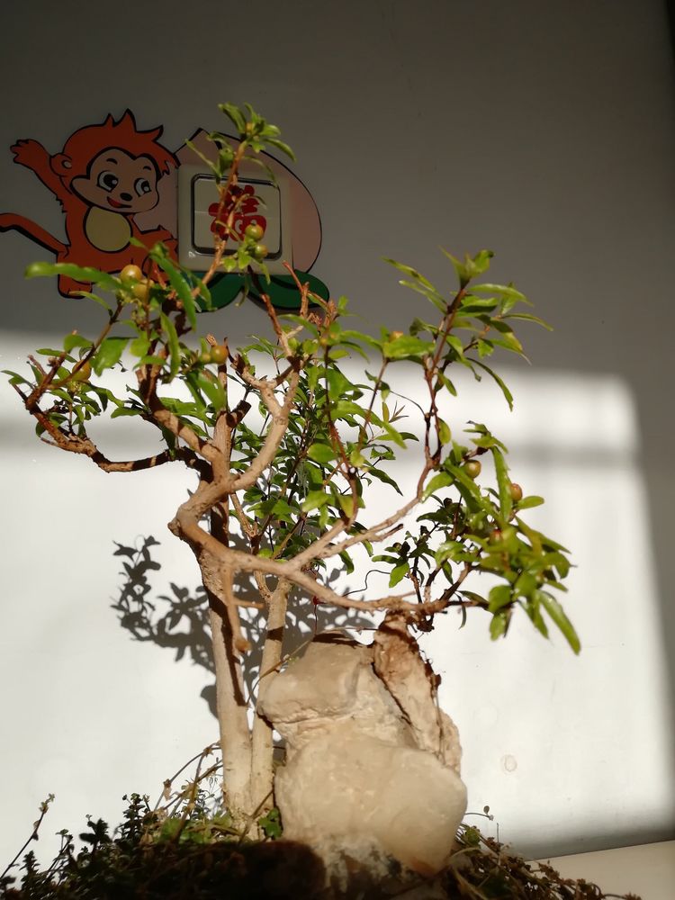 《我们永远是祖国的兵》(二)庆祝“八一”建军节93周年联欢晚会