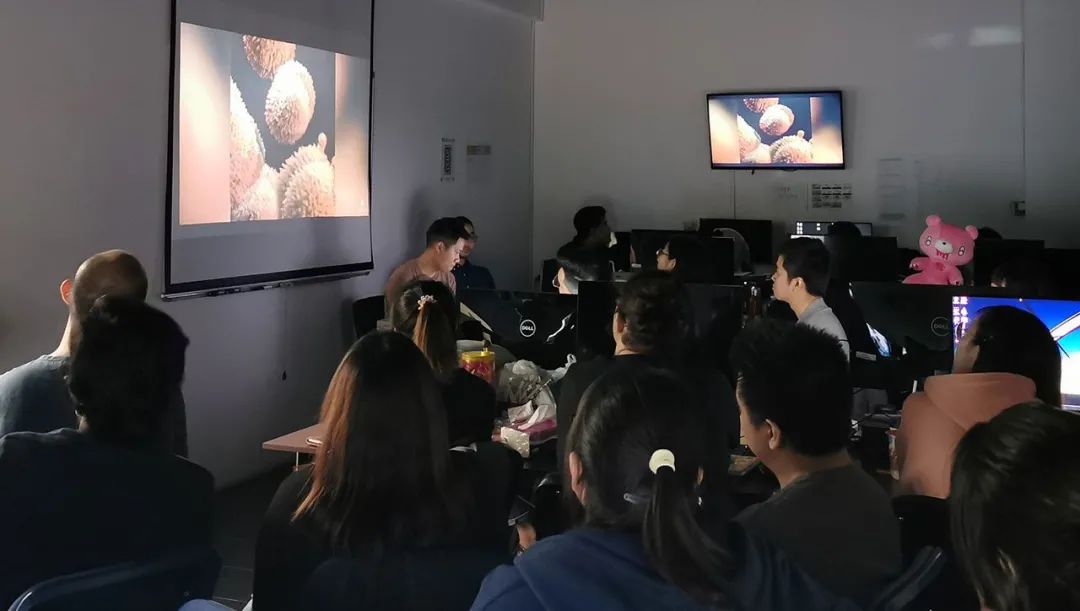 2017全球动画学院排名,全国排名前十的动画学院