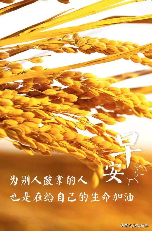 正月励志正能量的句子简短,正月十八早晨好问候图片