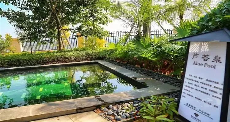 清远温泉攻略大全,清远有哪些温泉值得推荐