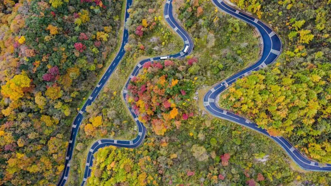 光雾山今天的红叶美景,光雾山红叶观赏全攻略