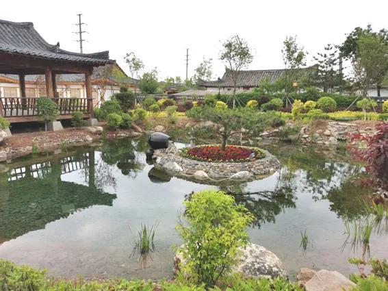 延边端午旅游推荐,浓情端午粽享民俗