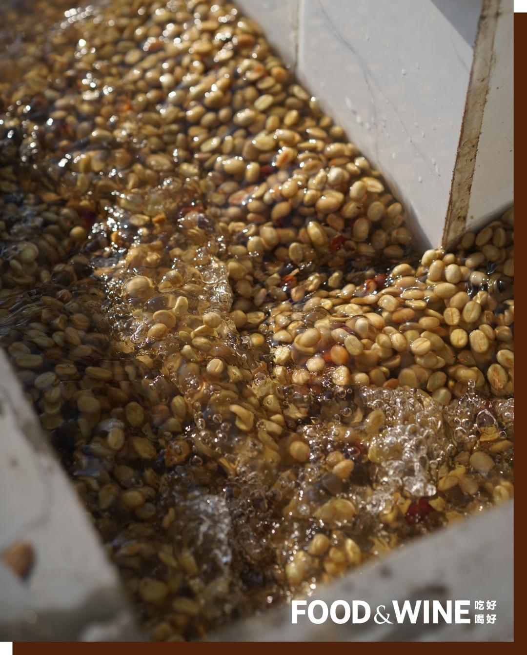 如何点一杯咖啡显得专业,如何点一杯美式咖啡