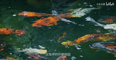 中式风格千万豪宅,中式家居豪宅