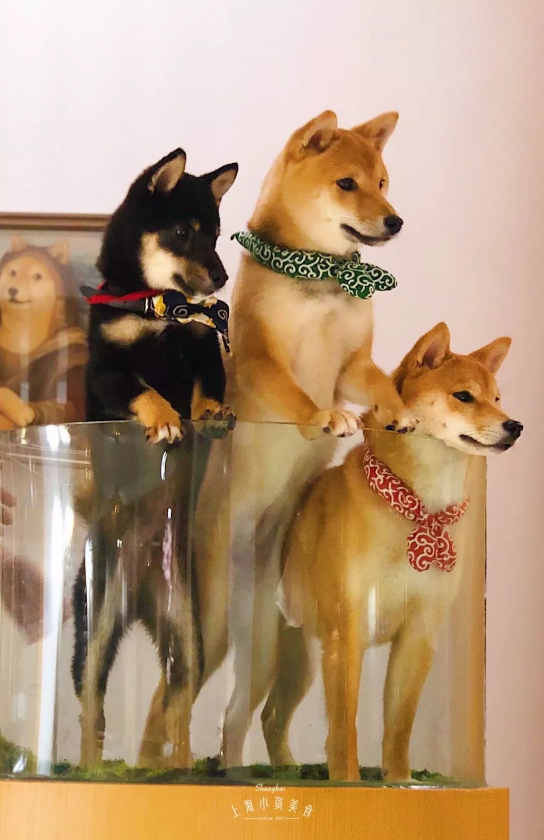 上海魔都打卡攻略,打卡魔都三件套