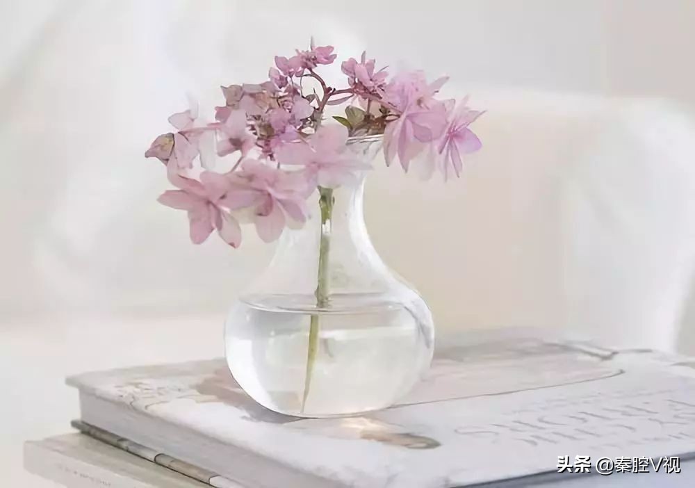 有福气的家庭会怎样,有福报的人风水对他有影响吗