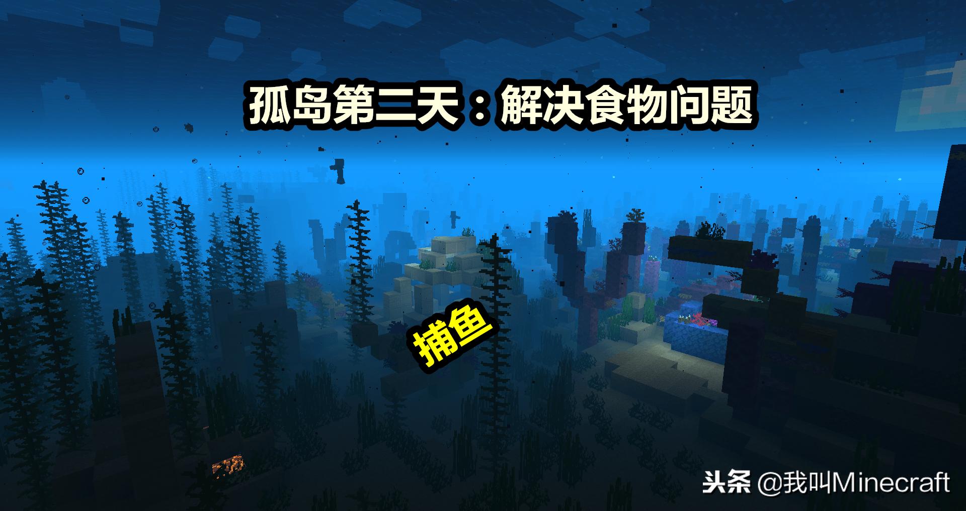 我的世界孤岛生存攻略大全,我的世界孤岛生存坚守小岛