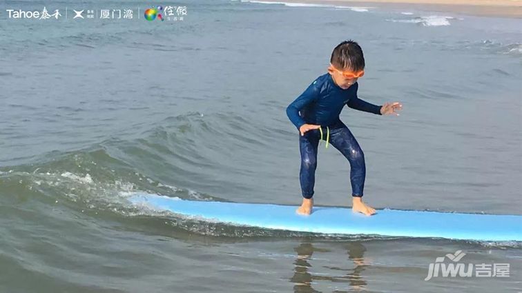 厦门湾是哪里的项目,厦门湾精装海景房投资项目
