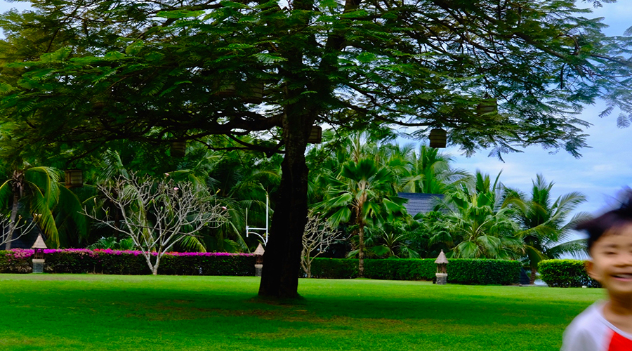 三亚旅行笔记|才刚离开,就开始期待下一次
