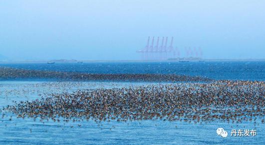 丹东旅游攻略景点必去五一,丹东五一旅游推荐路线攻略