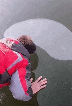 超级搞笑gif图,超好笑gif图