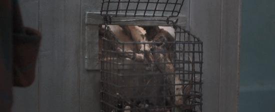 性感女神又演了一部姬片,挑战恋爱禁忌