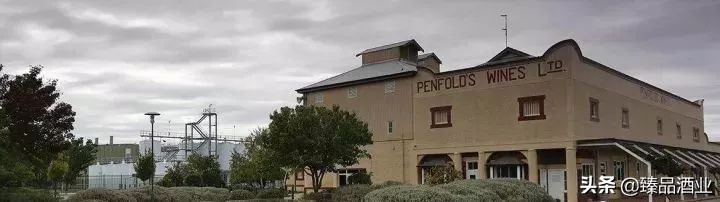 浙江臻品红酒价格,奔富酒庄的特点