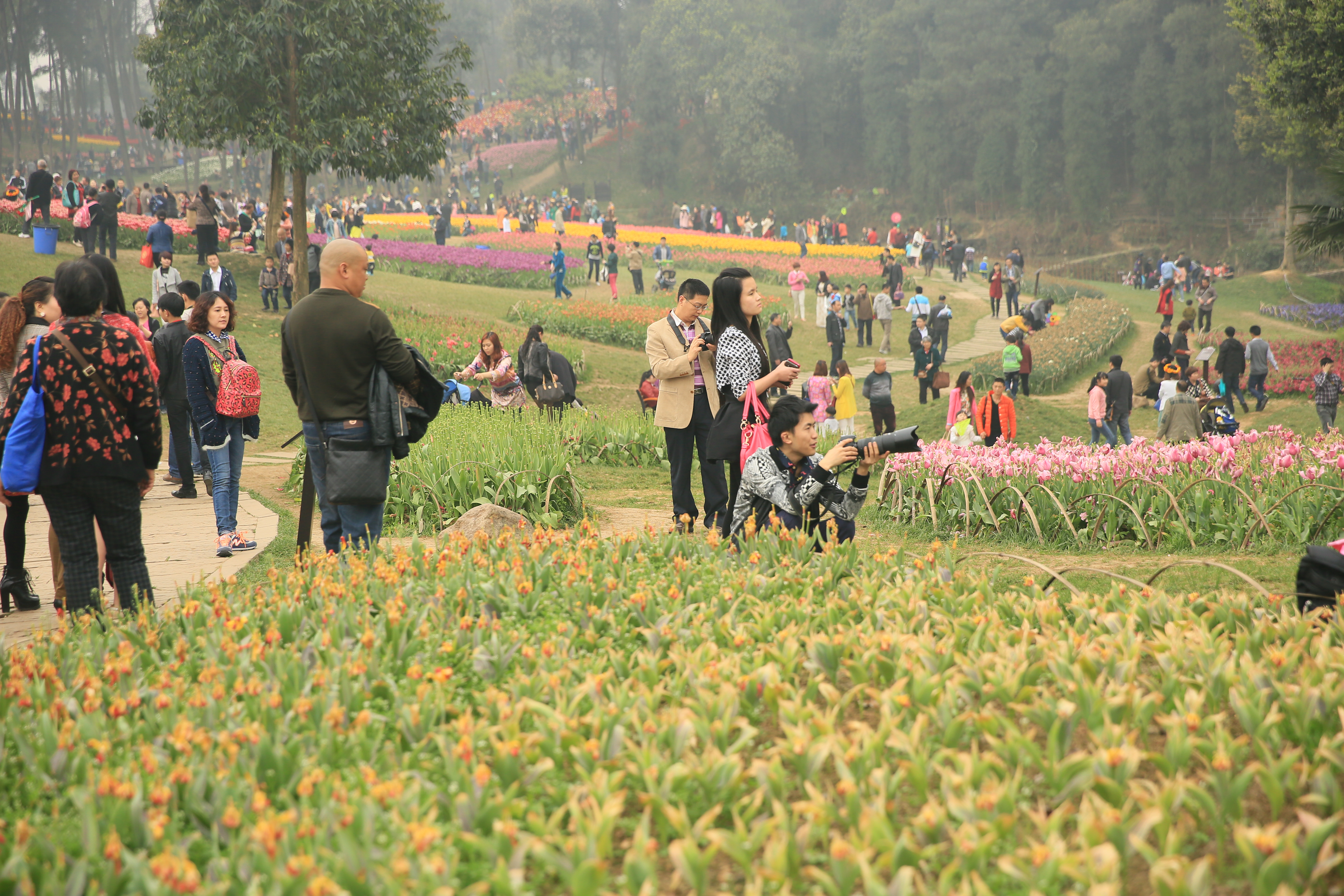 钂叉睙鐭宠薄婀栧ソ鐜╀笉,钂叉睙鐭宠薄婀栧ソ鑰嶅悧