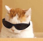 手机投屏到xp系统电脑的5种方法,手机怎么投屏到笔记本电脑win7