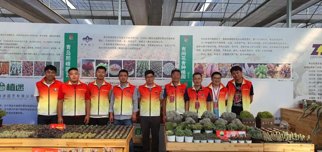 这个年销量上亿株多肉的县城，举办了首届多肉电商节