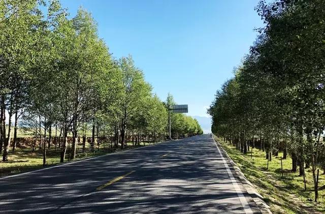 在公路旁随手一拍都是美景,中国有一条公路每一公里都是美景