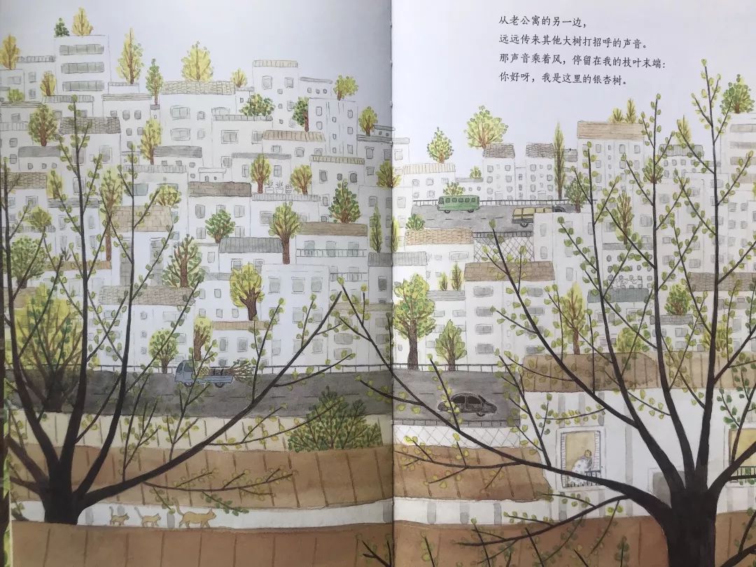 成长的秘密绘本,树看到了什么