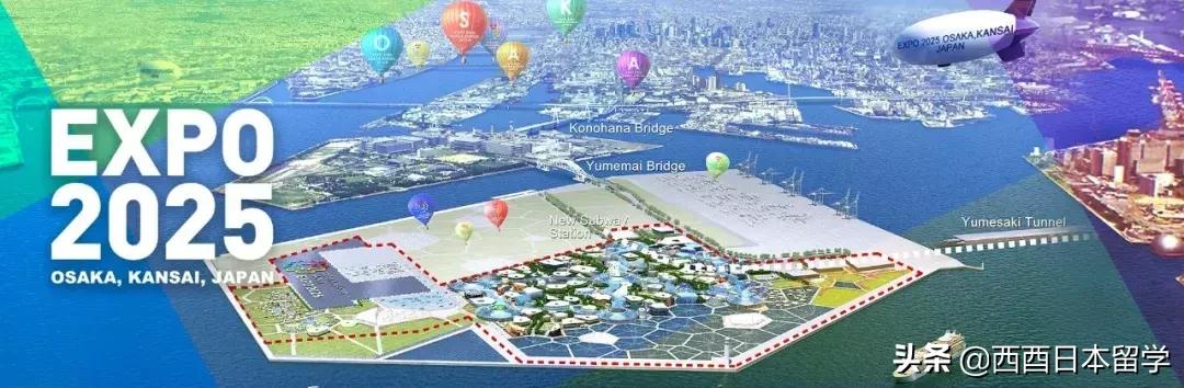 日本便宜的奢侈品包包,日本购买奢侈品包包全新