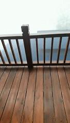 昔逐红尘千里归,昔逐红尘千里归出自哪里