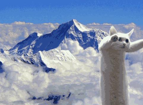 失物找回功能,失物只要一招就找回