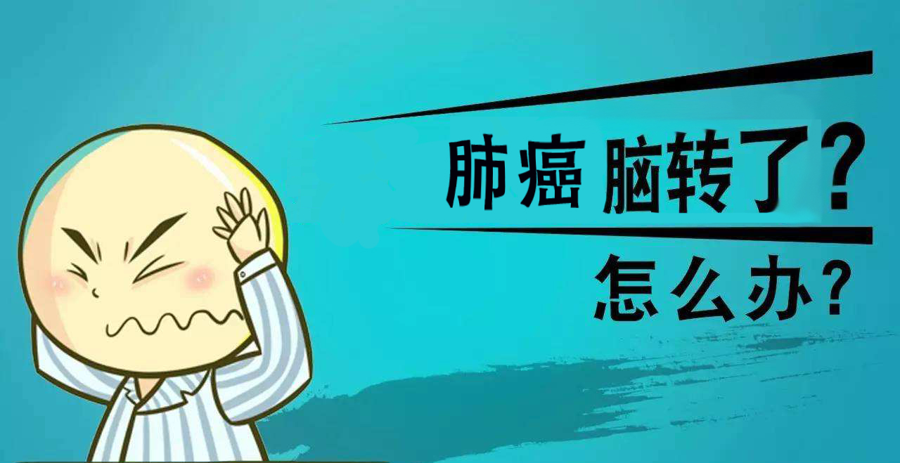 恩沃利单抗对肺癌脑转移有效果吗,pd-1单抗副作用