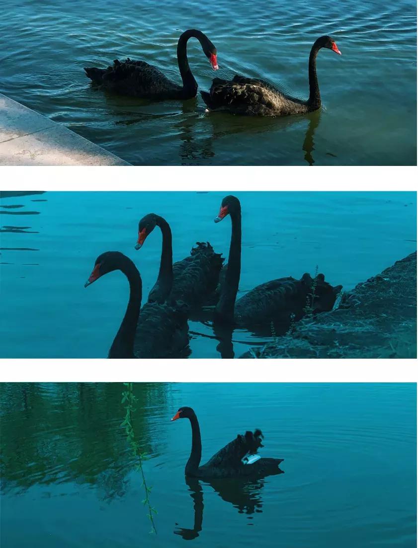 安徽省高校合肥理工,安徽省二类本科公办大学