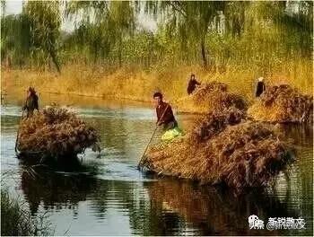 50后回忆生产队,回忆生产队年代