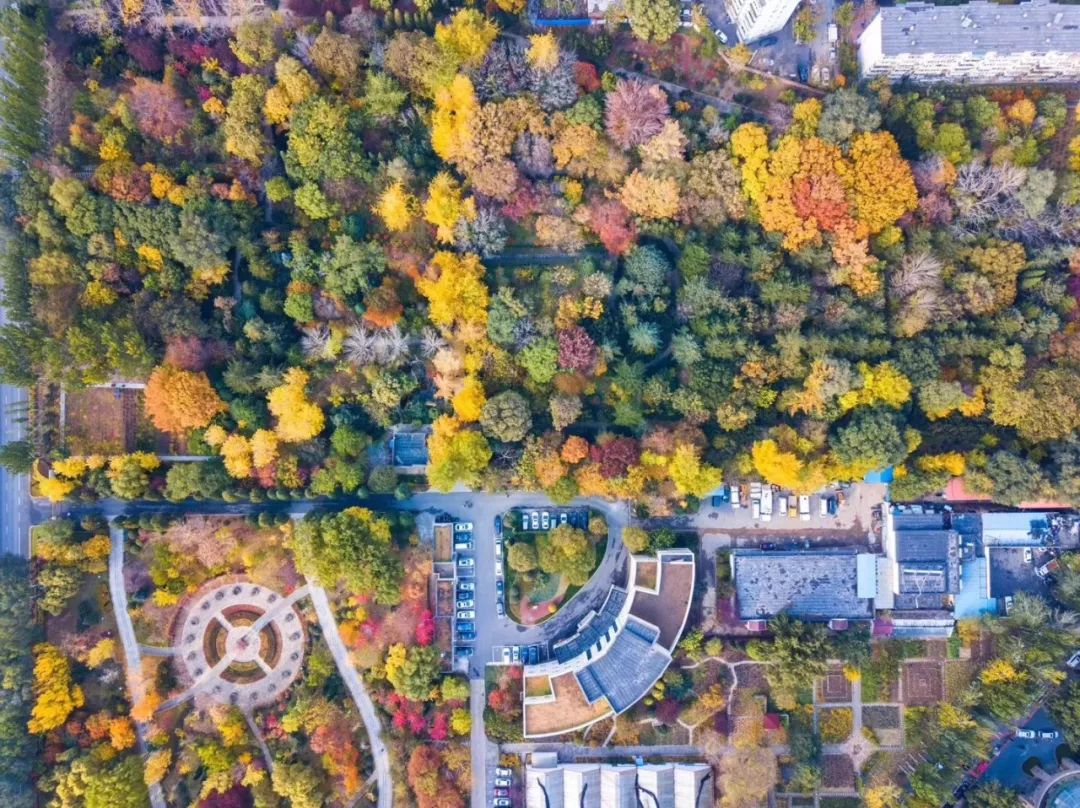 大疆“御”MavicAir，你见过可以塞进口袋的随行无人机吗？