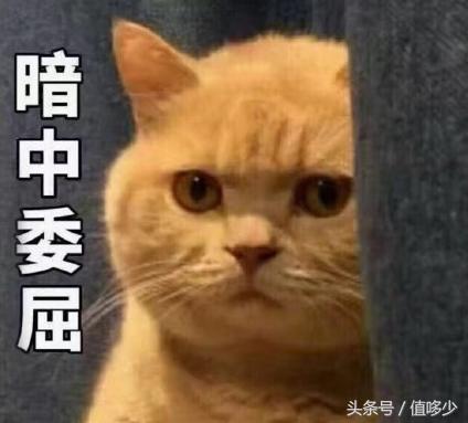 收到一封代购骂我的信，其中真相让人心酸又唏嘘……