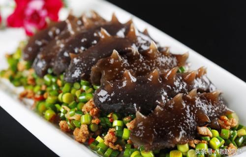 红极参和海参哪个营养好,海参怎么吃更有营养价值