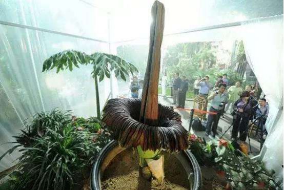 节日|今天是植树节，也是他逝世93周年的日子。