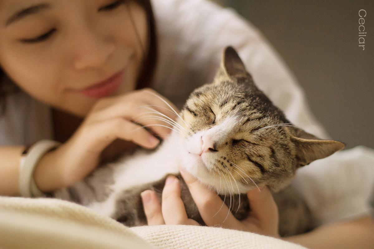 分手了心里很难过怎么熬过去,分手后很难过怎么能尽快走出来
