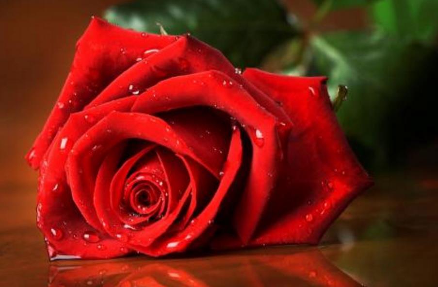 让生活过得活色生香,让你的生活香起来