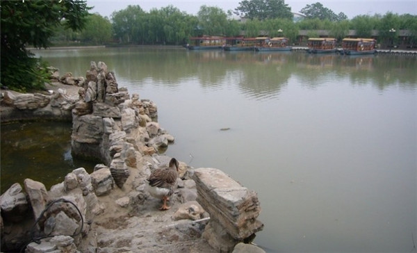 现在不养生将来养医生视频,天津康养旅游哪个地方好