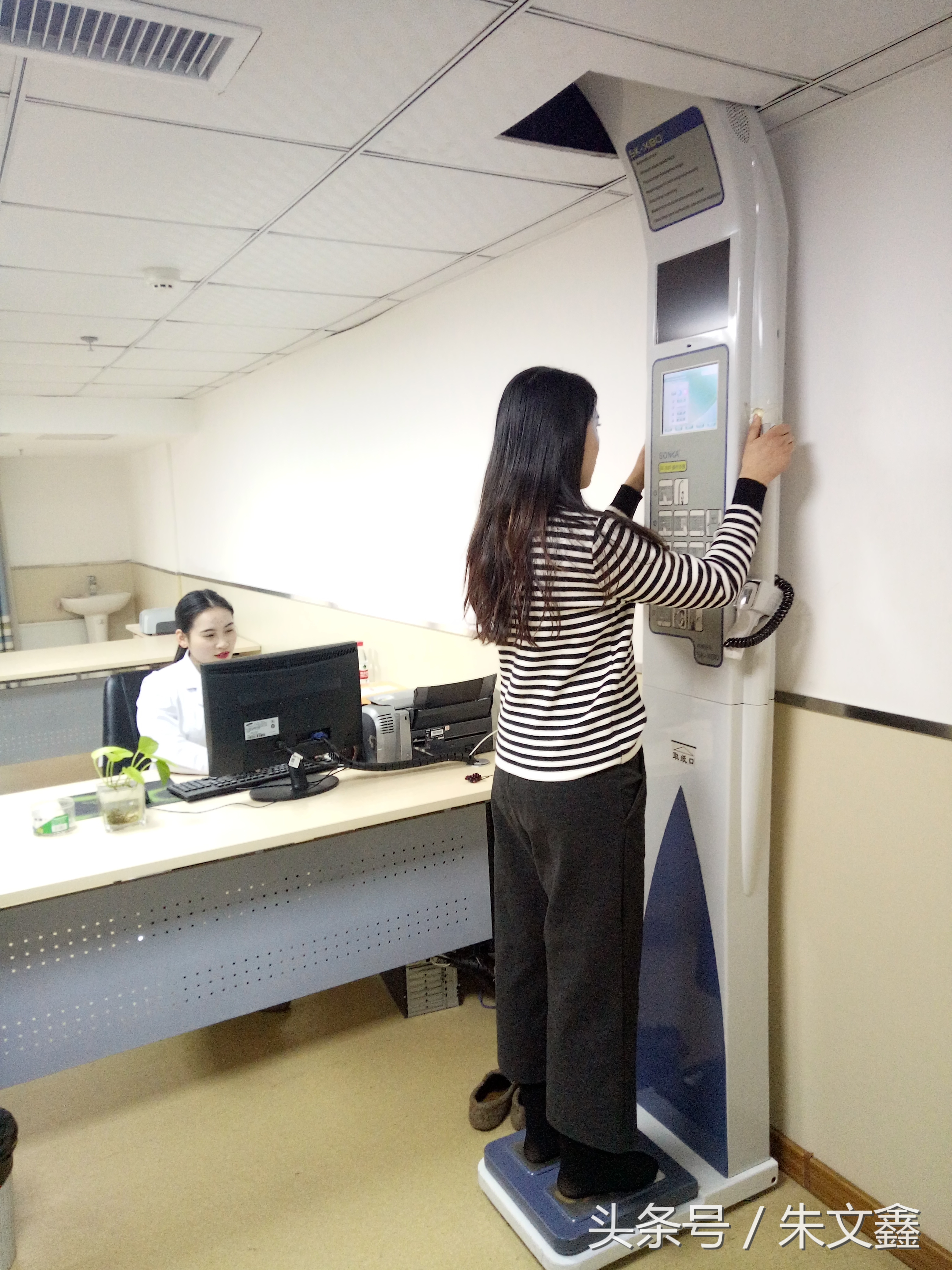 群雁高飞头雁领什么意思,群雁高飞