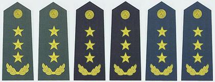 中国军衔和军官资历大全,中国的军官军衔等级