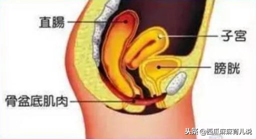为什么产后康复最好去医院做,为什么产后需要恢复视频