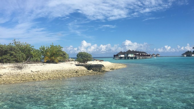 马尔代夫a级浮潜岛有哪些,马尔代夫卡娜丽芙岛浮潜