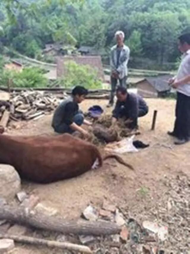 农村的习俗你知多少,农村习俗你知多少