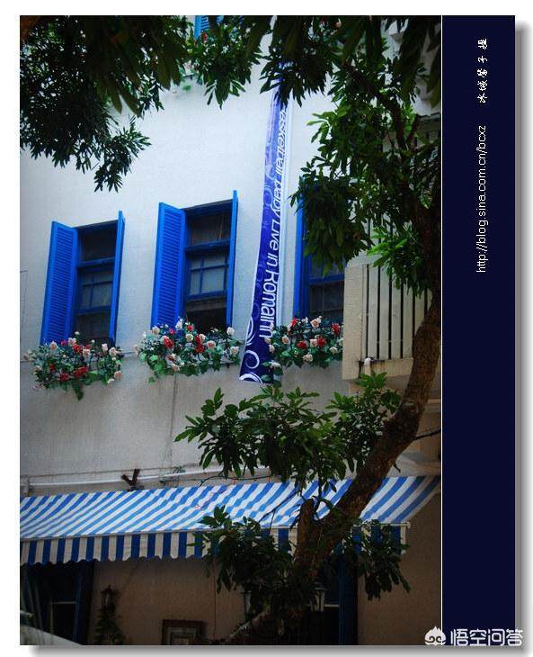 喜欢鼓浪屿的民宿，有这样几家咖啡旅馆很可爱