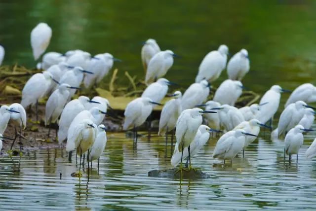 深圳2小时内周边自驾游,深圳爬山看海攻略旅游线路
