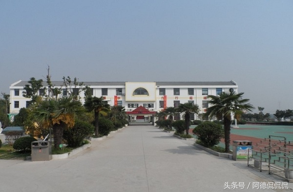 南京江宁区小学前十名,南京江宁中学排名名单