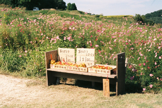 315曝光最暴利的产品,越南购物骗局