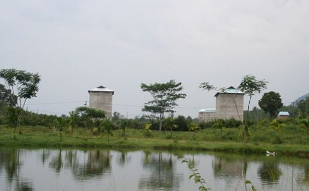 燕窝相关问答,燕窝科普栏目介绍