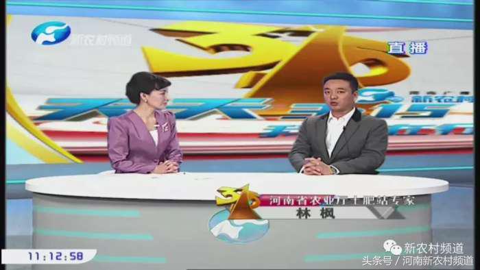 河南打假最新消息,河南省打假最新信息