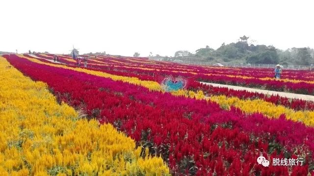 一秒钟搞定“花痴”攻略，别说我没帮你~