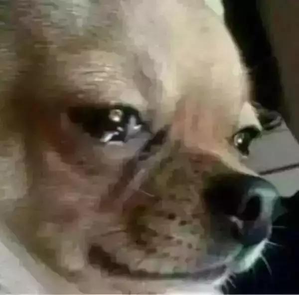 缇庡浗鏍″洯闈掓槬鐢靛奖,缇庡浗鏍″洯鍠滃墽鐢靛奖