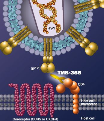 基因疗法治愈hiv获fda批准了么,fda艾滋病新药